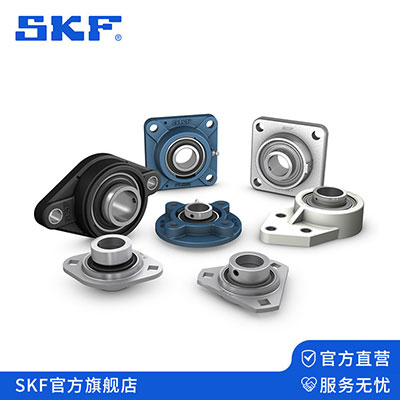 SKF外球面��u�?></div>
        <div   id=